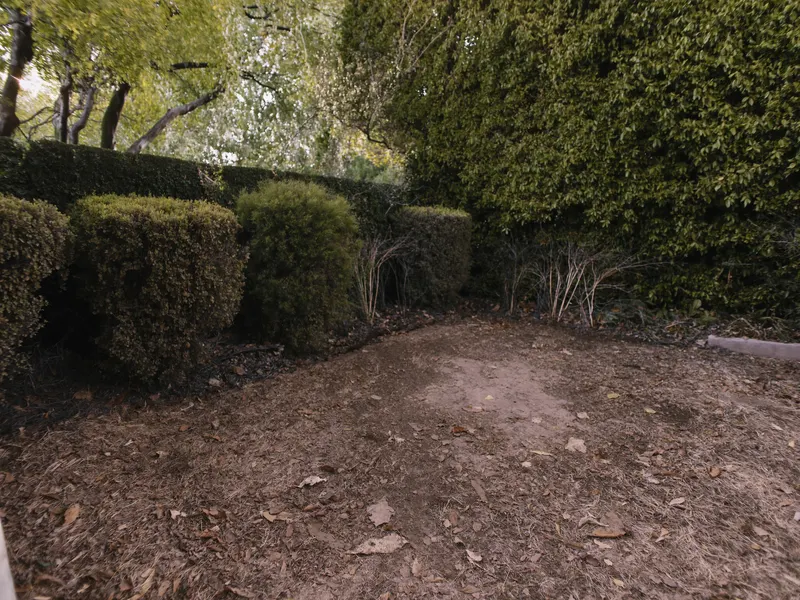 Yard cleanup — after