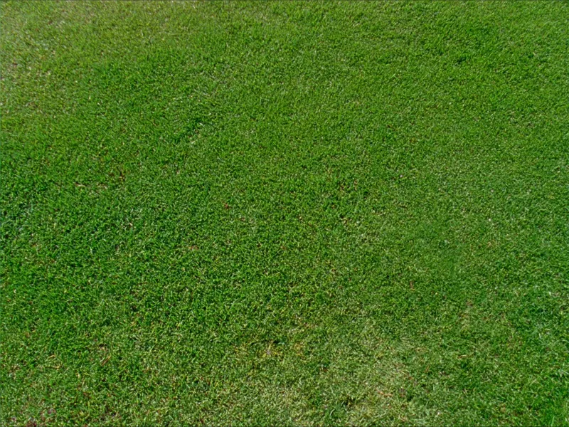 Irrigation repair — after